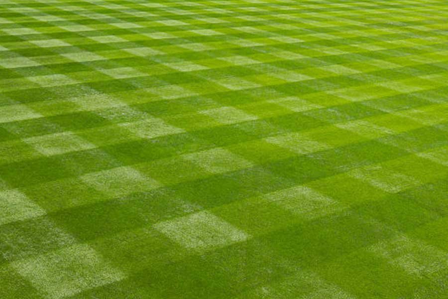 beyzbol grass