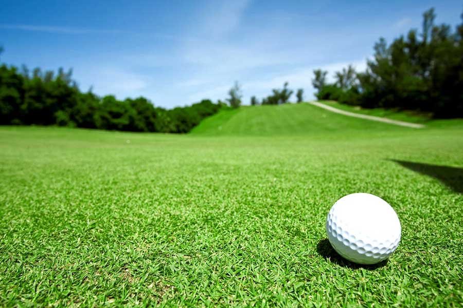 golf grass